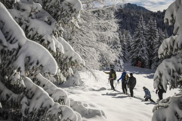 Le Flocon-Studio Cabine-Balcon 4-6 Pers A 100M Des Pistes Chamrousse Exterior foto