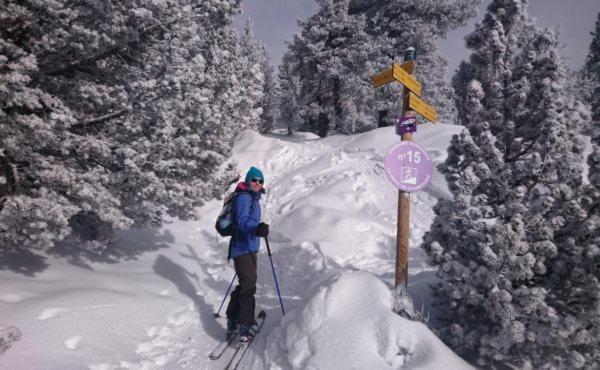 Le Flocon-Studio Cabine-Balcon 4-6 Pers A 100M Des Pistes Chamrousse Exterior foto