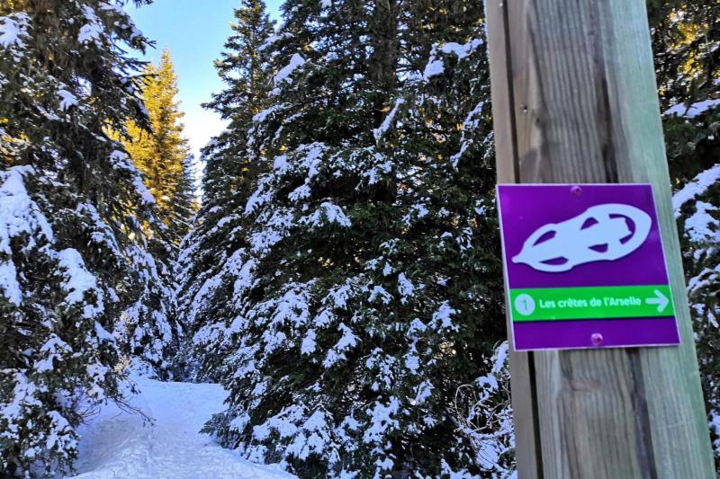 Le Flocon-Studio Cabine-Balcon 4-6 Pers A 100M Des Pistes Chamrousse Exterior foto